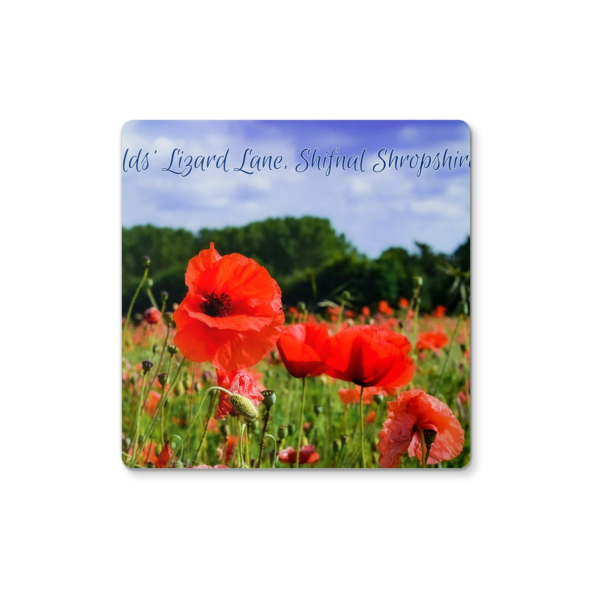 Poppy Field - Vivid Coaster