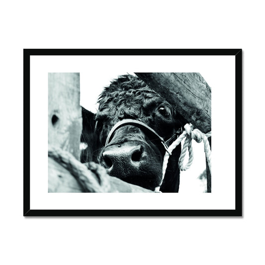 I Can See You! Framed & Mounted Print