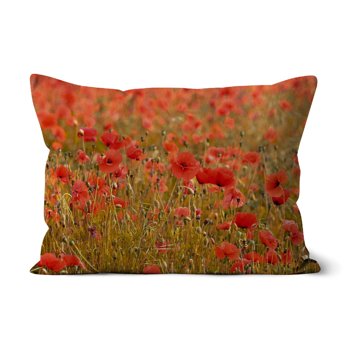 Poppyfield Cushion