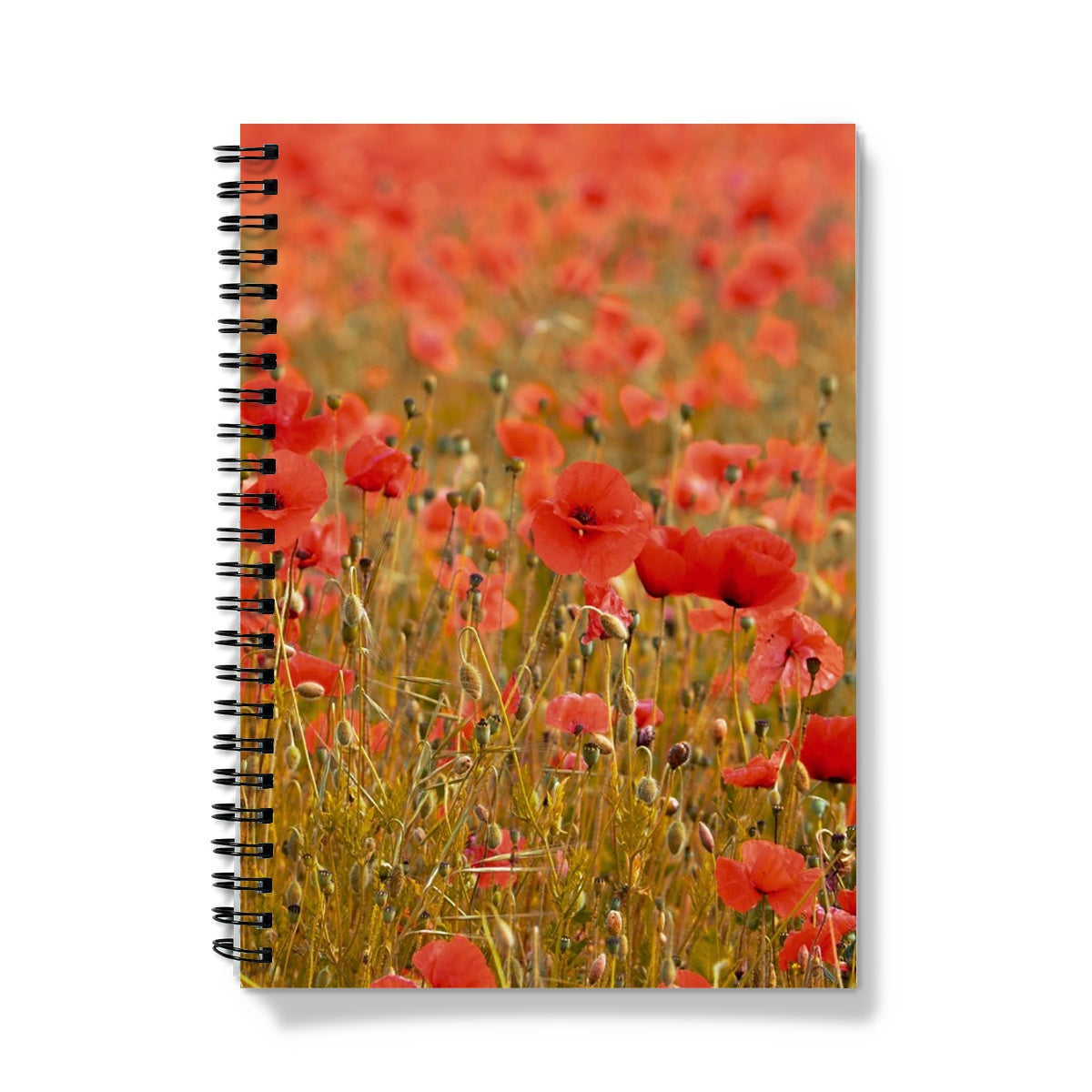 Poppyfield Notebook